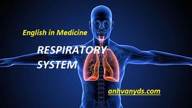 Respiratory – Part 3: THỞ