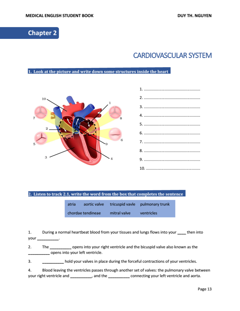 Cardiovascular System Listening File
