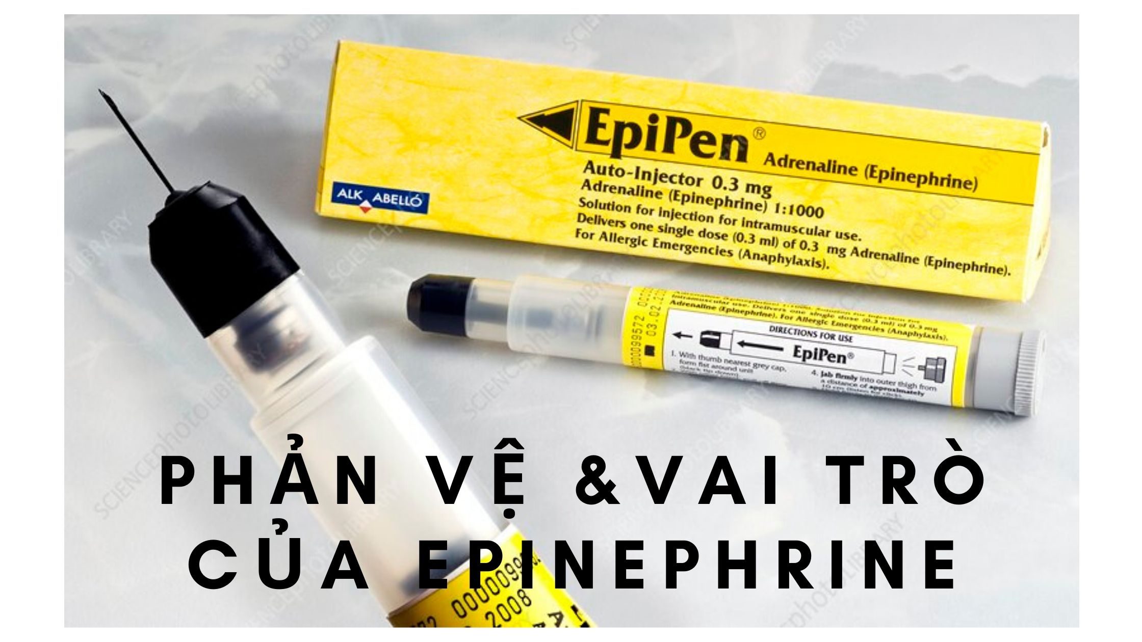 Epi Pen Là Gì? Khám Phá Thiết Bị Cứu Mạng Khẩn Cấp Cho Người Bị Dị Ứng Nghiêm Trọng