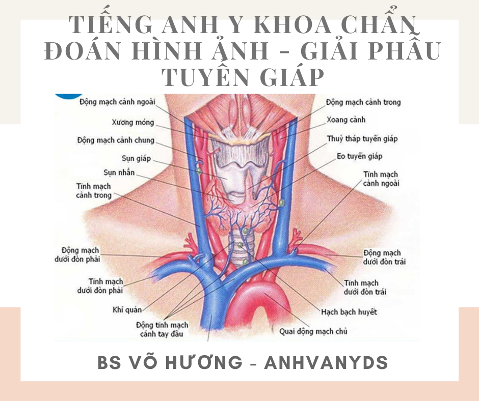 Ôn Bệnh Là Gì? Khái Niệm, Triệu Chứng và Cách Phòng Ngừa Hiệu Quả